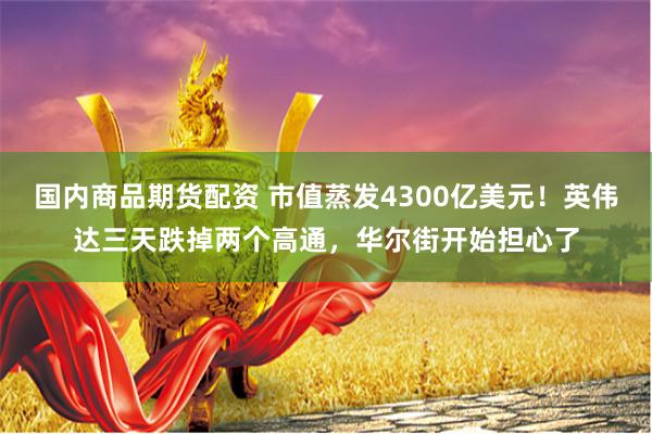 国内商品期货配资 市值蒸发4300亿美元！英伟达三天跌掉两个高通，华尔街开始担心了